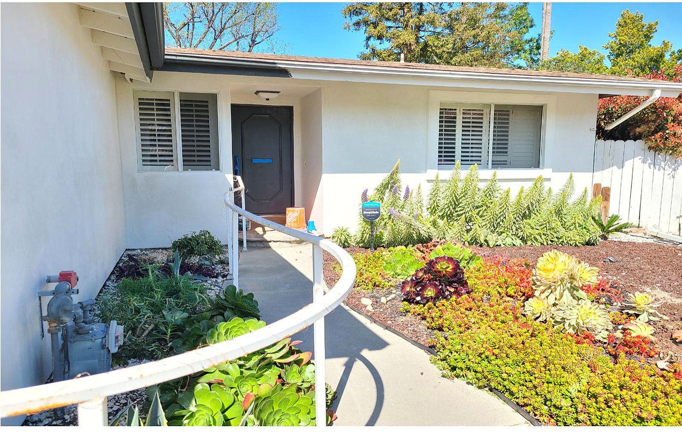 Drought-tolerant front garden